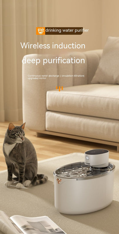 Cat Water Fountain