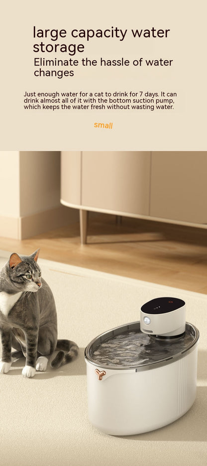Cat Water Fountain
