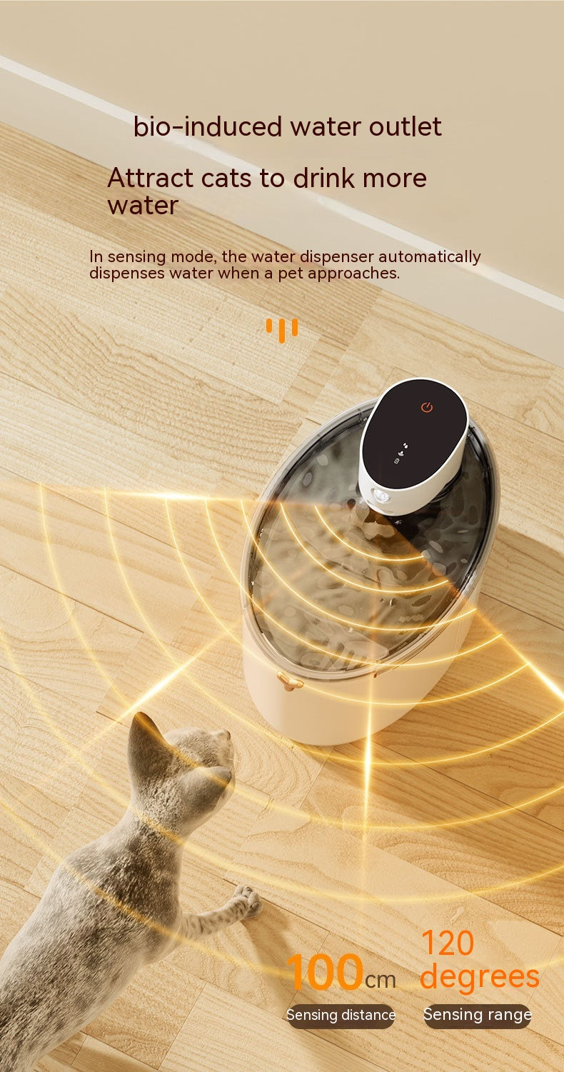 Cat Water Fountain