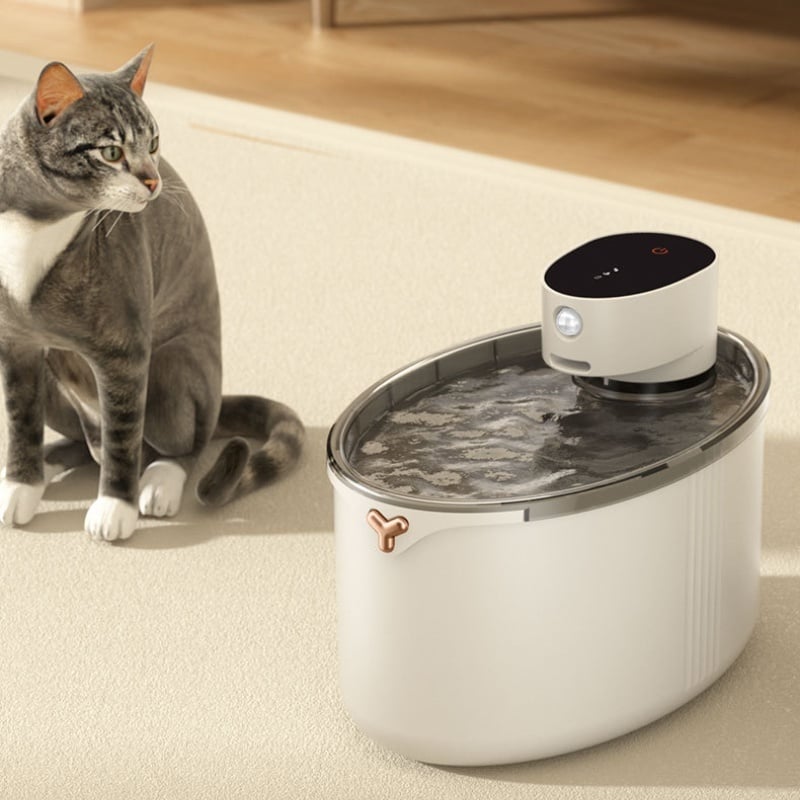 Cat Water Fountain